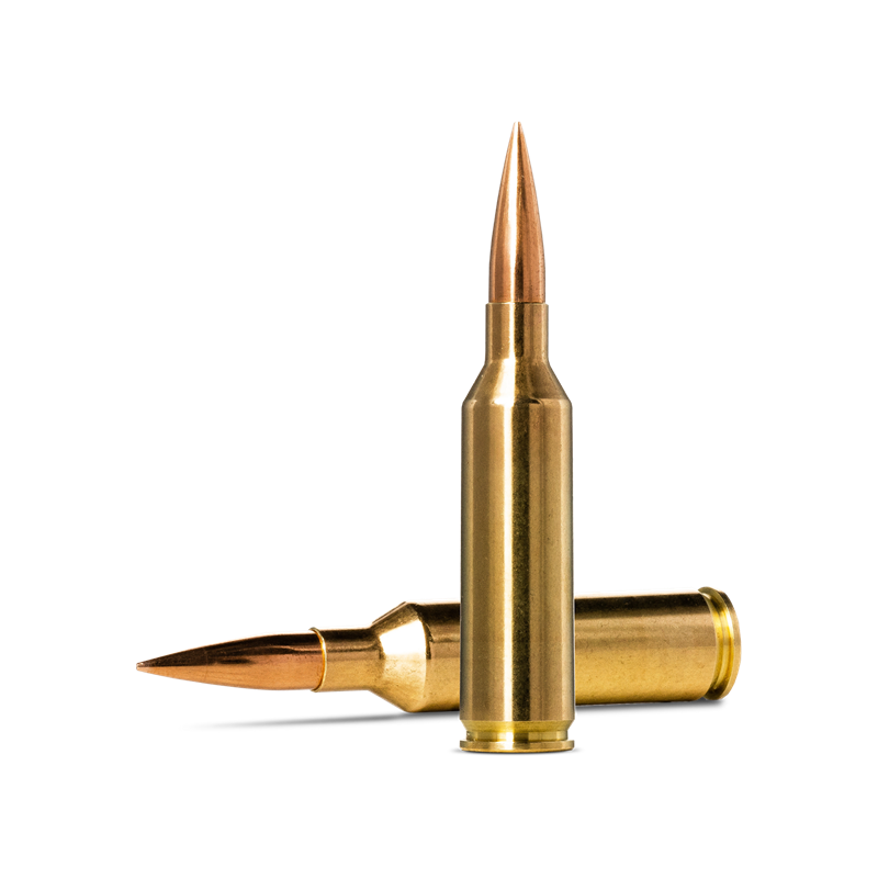 Munición NORMA, Golden Target 6,5 Creedmoor, 143Gr