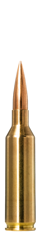 Munición NORMA, Golden Target 6,5 PRC, 143Gr
