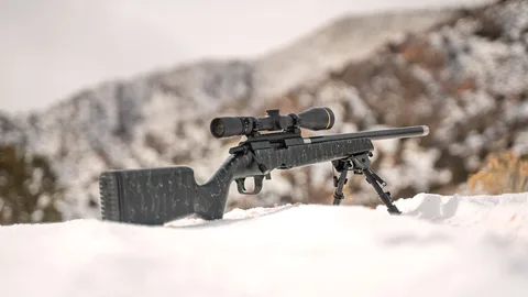 Rifle Christensen Arms, calibre .22LR