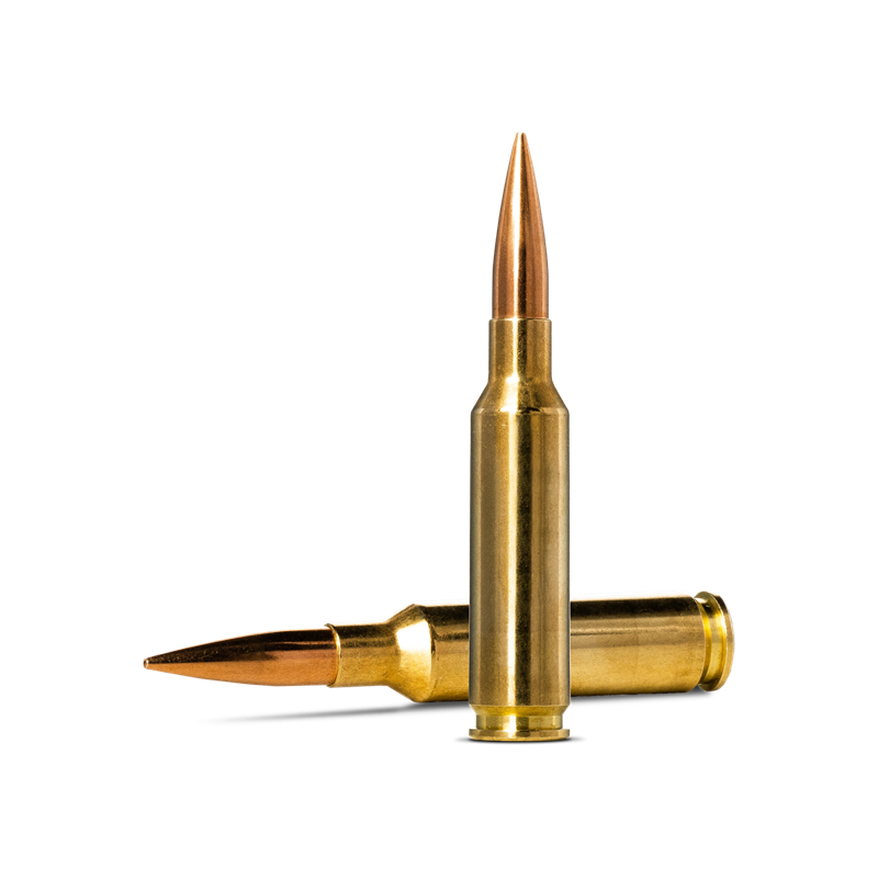 Munición NORMA, Golden Target 6,5 PRC, 143Gr